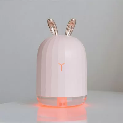 Pink Rabbit