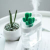 USB Crystal Cactus Humidifier » Gift² for you @iregee.com