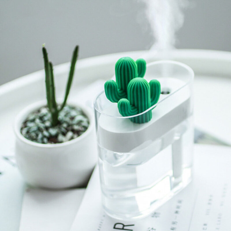 USB Crystal Cactus Humidifier » Gift² for you @iregee.com