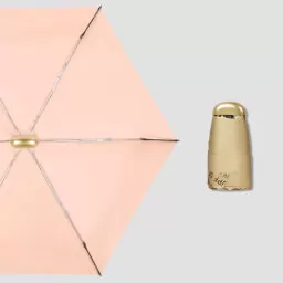 Pink and Gold